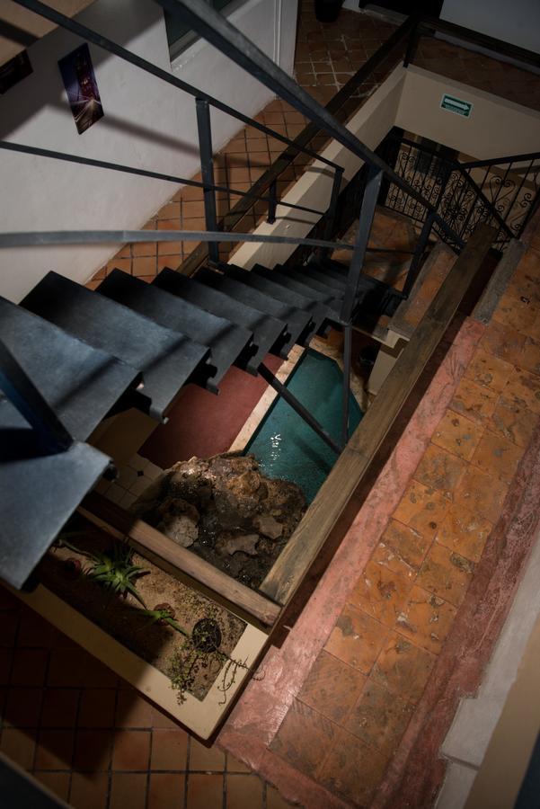 Deja Hostel Плая-дель-Кармен Экстерьер фото